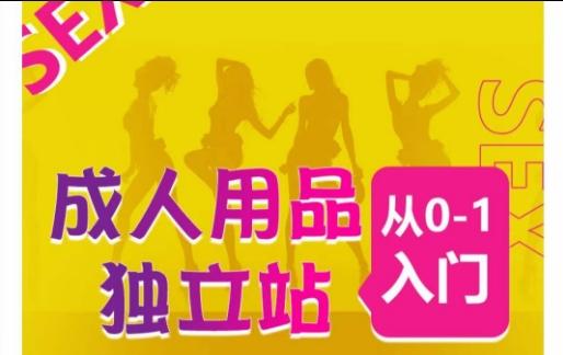成人用品独立站从0-1入门，成品独立站运营全流程教学，七大好卖成品独立站推荐-985网创