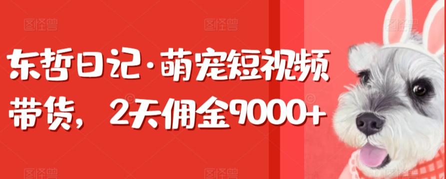 东哲日记·萌宠短视频带货，2天佣金9000+-985网创