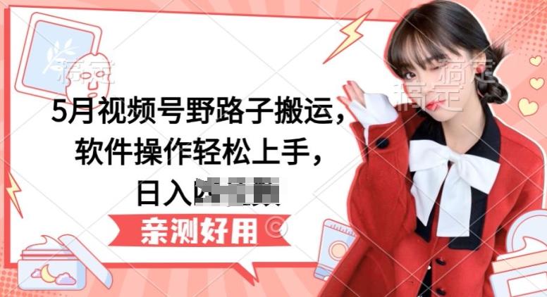 5月视频号野路子搬运，软件操作轻松上手，日入三位数【揭秘】-985网创