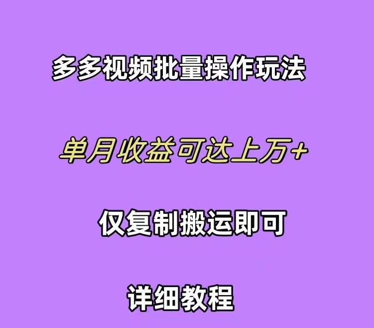 (10029期)拼多多视频带货快速过爆款选品教程 每天轻轻松松赚取三位数佣金 小白必...-985网创
