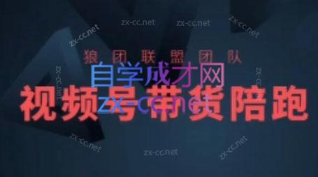 狼团联盟·2024视频号带货-985网创