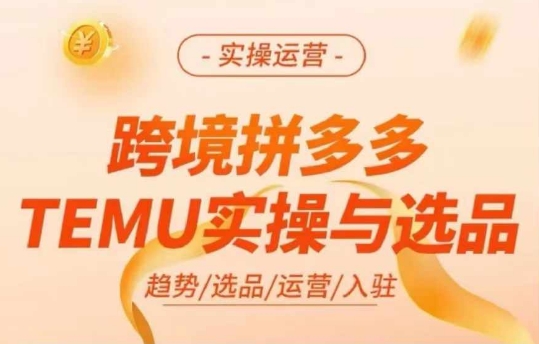 跨境拼多多TEMU实操与选品，多多temu跨境选品运营实操-985网创