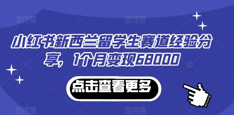 小红书新西兰留学生赛道经验分享，1个月变现68000【揭秘】-985网创