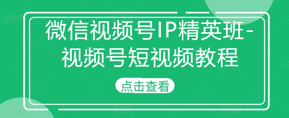 微信视频号IP精英班-视频号短视频教程-985网创