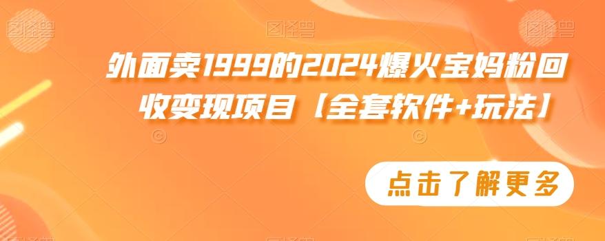 外面卖1999的2024爆火宝妈粉回收变现项目【全套软件+玩法】【揭秘】-985网创
