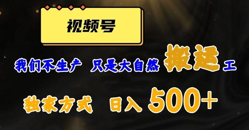视频号轻松搬运日赚500+，一个1分钟1条原创视频【揭秘】-985网创