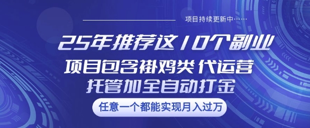 25年推荐这10个副业项目包含褂鸡类、代运营托管类、全自动打金类【揭秘】-985网创