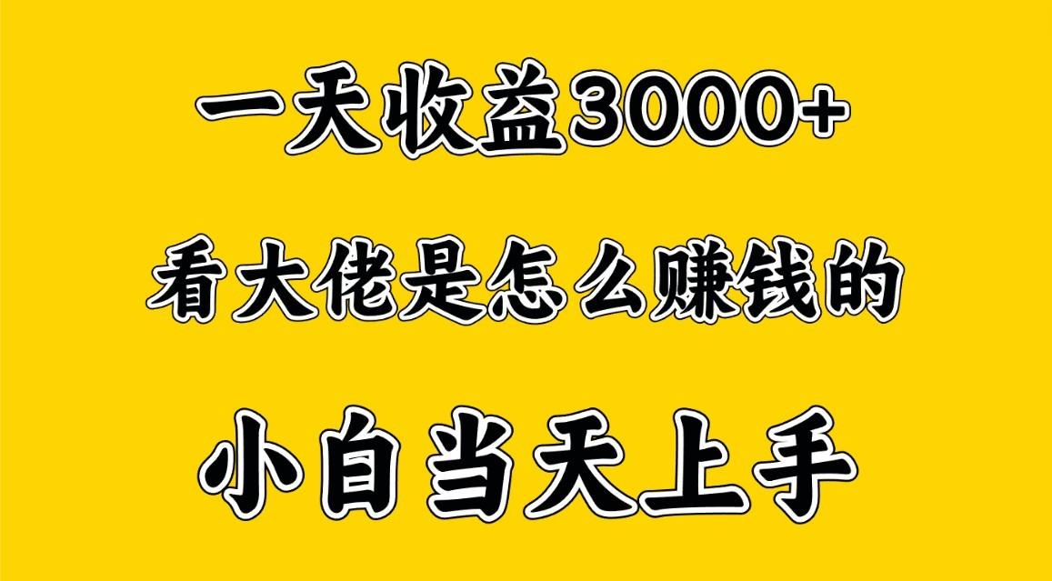 一天赚3000多，大佬是这样赚到钱的，小白当天上手，穷人翻身项目-985网创