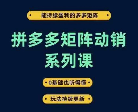 拼多多矩阵动销系列课，能持续盈利的多多矩阵，0基础也听得懂，玩法持续更新-985网创
