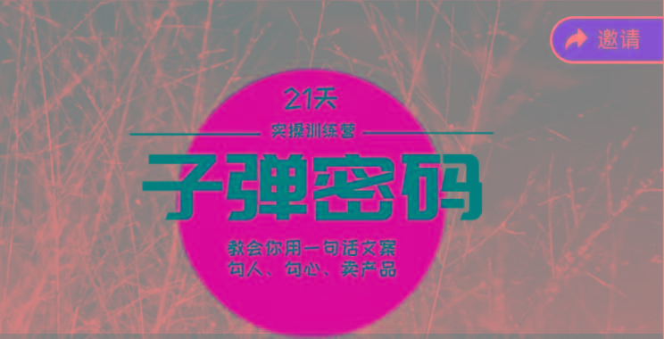 《子弹密码训练营》-用一句话文案勾人勾心卖产品，21天学到顶尖文案大师策略和技巧-985网创