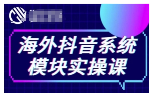 海外抖音Tiktok系统模块实操课，TK短视频带货，TK直播带货，TK小店端实操等-985网创