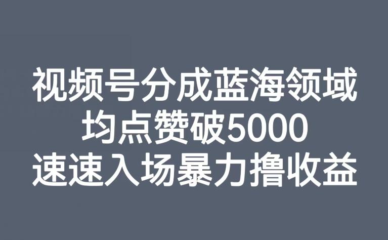 视频号分成蓝海领域，均点赞破5000，速速入场暴力撸收益-985网创