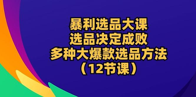 暴利 选品大课：选品决定成败，教你多种大爆款选品方法(12节课-985网创