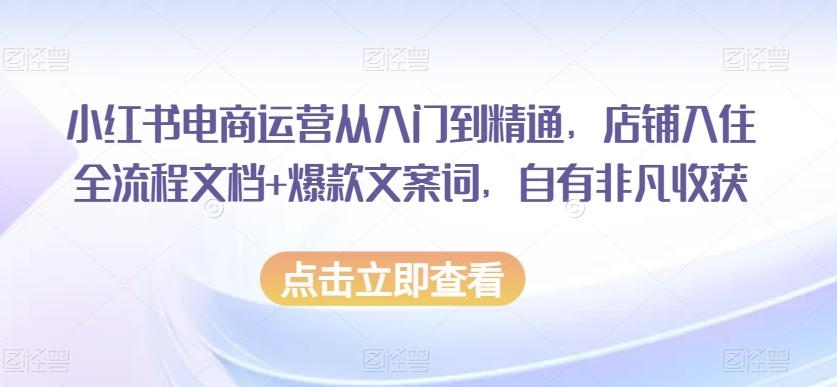 小红书电商运营从入门到精通，店铺入住全流程文档+爆款文案词，自有非凡收获-985网创