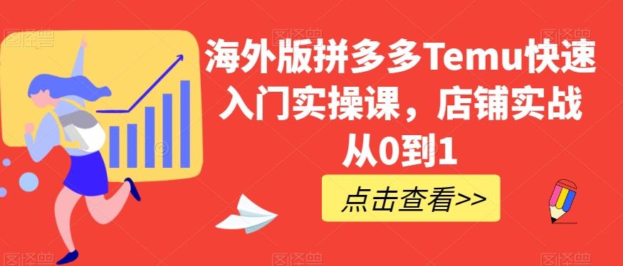 海外版拼多多Temu快速入门实操课，店铺实战从0到1-985网创