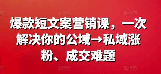 爆款短文案营销课，一次解决你的公域→私域涨粉、成交难题-985网创