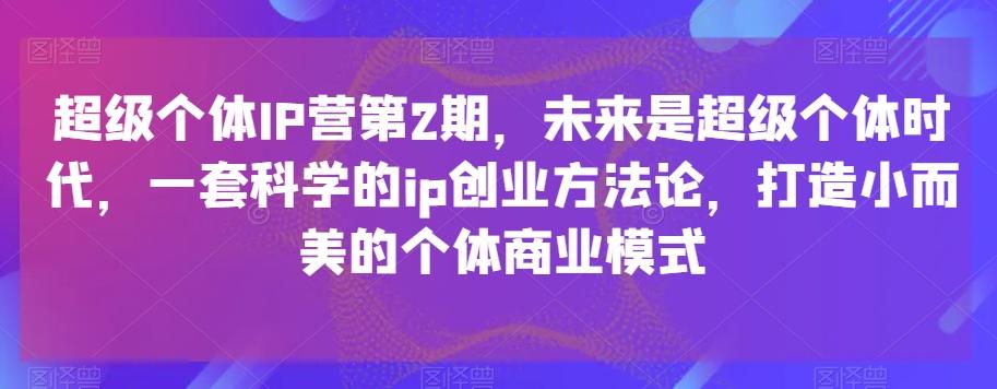 超级个体IP营第2期，未来是超级个体时代，一套科学的ip创业方法论，打造小而美的个体商业模式-985网创