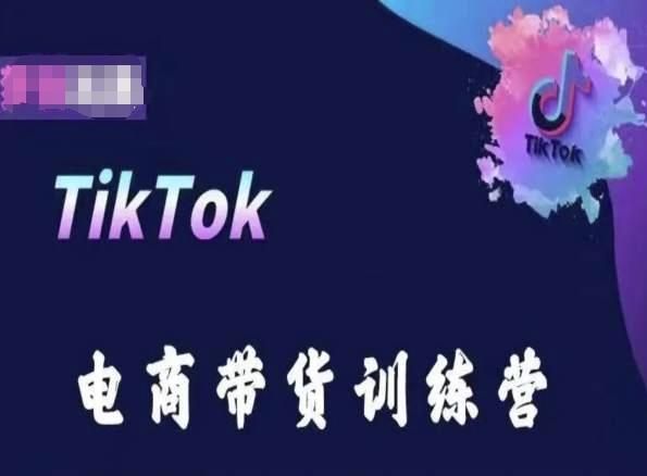 TikTok电商带货训练营，跟随时代潮流，跨境掘金-985网创