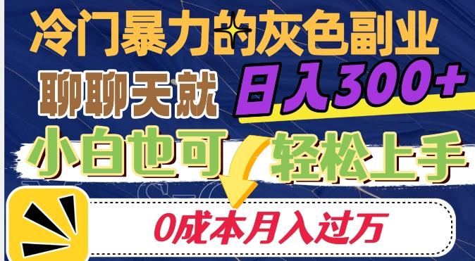 冷门暴利的副业项目，聊聊天就能日入300+，0成本月入过万【揭秘】-985网创