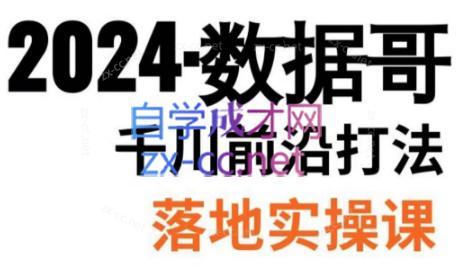 数据哥·2024年千川前沿打法落地实操课-985网创