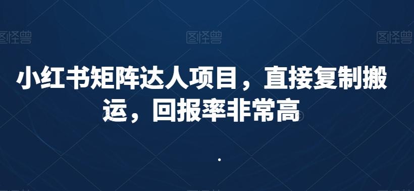 小红书矩阵达人项目，直接复制搬运，回报率非常高-985网创