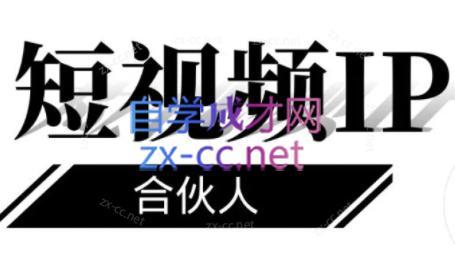 铭则老师·短视频IP合伙人(更新24年)-985网创