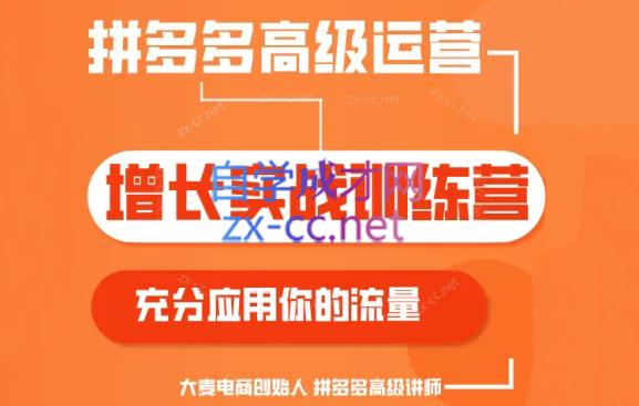 大麦老师·拼多多单品爆款打造课程(更新6月)-985网创