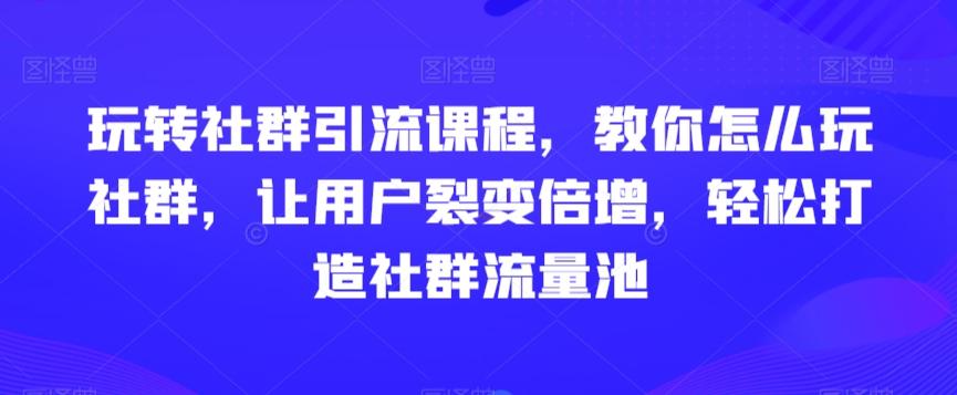 玩转社群引流课程，教你怎么玩社群，让用户裂变倍增，轻松打造社群流量池-985网创