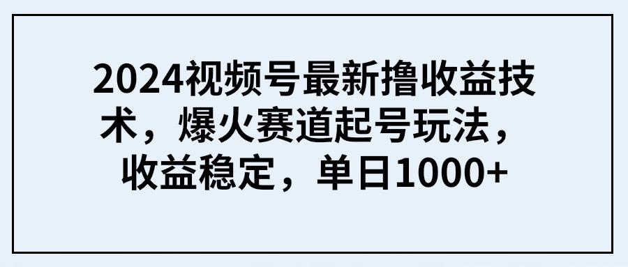 (9651期) 2024视频号最新撸收益技术，爆火赛道起号玩法，收益稳定，单日1000+-985网创