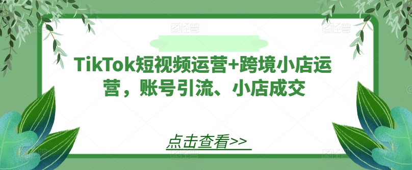 TikTok短视频运营+跨境小店运营，账号引流、小店成交-985网创