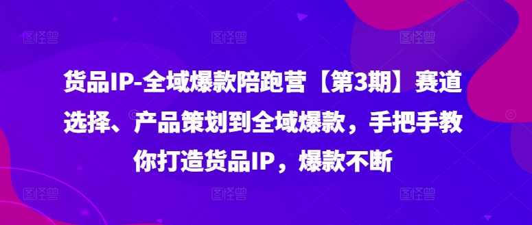 货品IP全域爆款陪跑营【第3期】赛道选择、产品策划到全域爆款，手把手教你打造货品IP，爆款不断-985网创