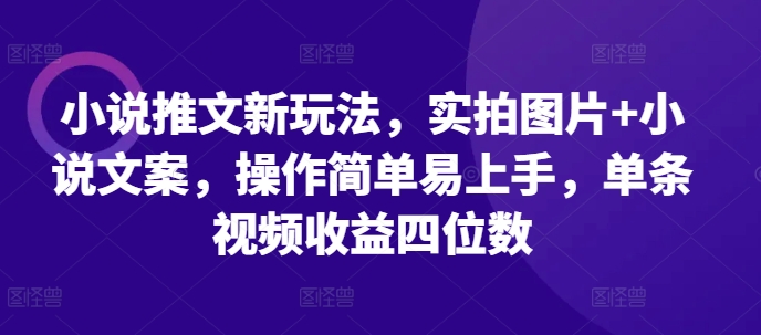 小说推文新玩法，实拍图片+小说文案，操作简单易上手，单条视频收益四位数-985网创