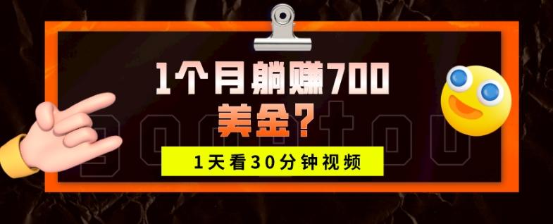 1天看30分钟视频，1个月躺赚700美金？-985网创
