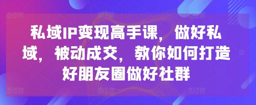 私域IP变现高手课，做好私域，被动成交，教你如何打造好朋友圈做好社群-985网创