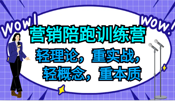 营销陪跑训练营，轻理论，重实战，轻概念，重本质，适合中小企业和初创企业的老板-985网创