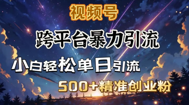跨平台暴力引流，私域完美闭环，日引500+精准创业粉-985网创