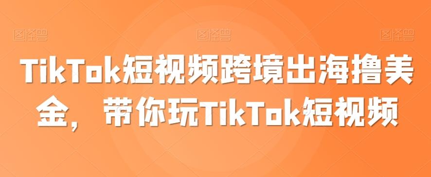 TikTok短视频跨境出海撸美金，带你玩TikTok短视频-985网创