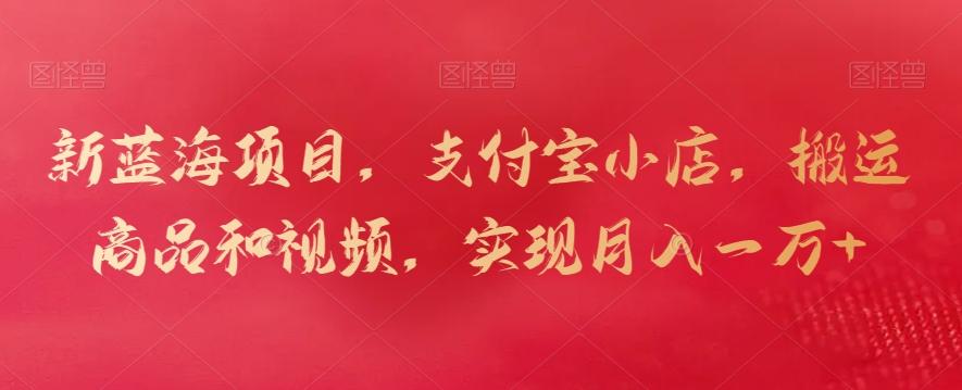 新蓝海项目，支付宝小店，搬运商品和视频，实现月入一万+【揭秘】-985网创