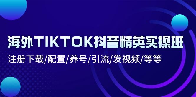 海外TIKTOK抖音精英实操班：注册下载/配置/养号/引流/发视频/等等-985网创
