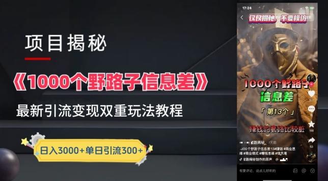 一千个野路子信息差最新玩法教程-变现+引流的玩法具体拆解【揭秘】-985网创