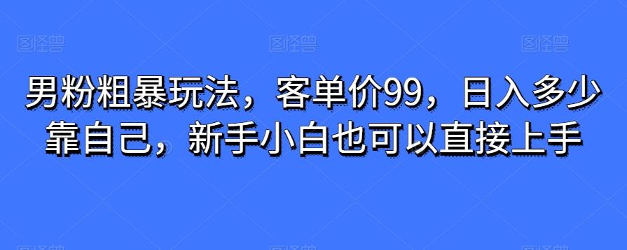 男粉粗暴玩法，客单价99，日入多少靠自己，新手小白也可以直接上手-985网创