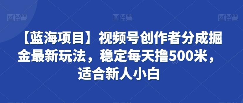 【蓝海项目】视频号创作者分成掘金最新玩法，稳定每天撸500米，适合新人小白【揭秘】-985网创