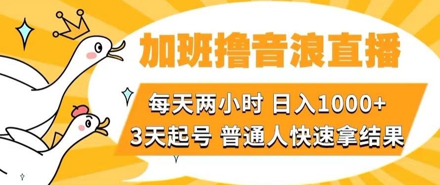 加班撸音浪直播，每天两小时，日入1000+，直播话术才3句，3天起号，普通人快速拿结果【揭秘】-985网创