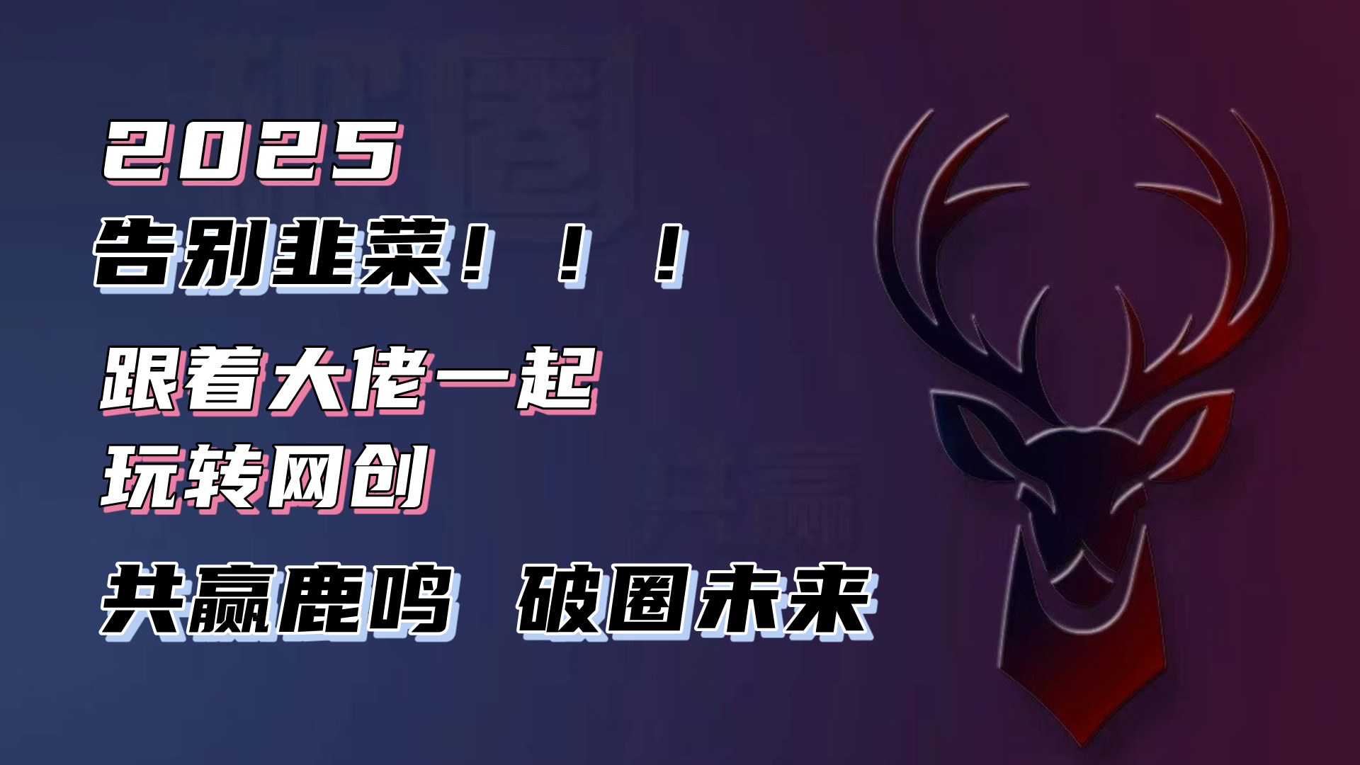 告别韭菜！2025知识付费风口项目，小白也能闭眼操作！-985网创