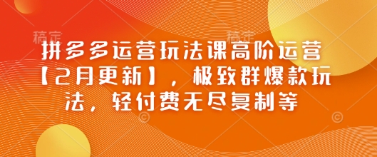 拼多多运营玩法课高阶运营【2月更新】，极致群爆款玩法，轻付费无尽复制等-985网创