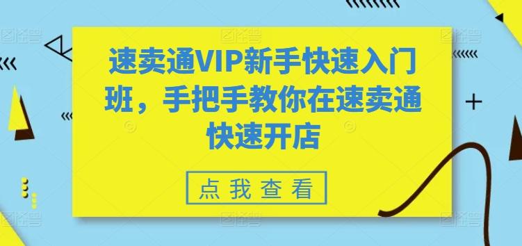 速卖通VIP新手快速入门班，手把手教你在速卖通快速开店-985网创