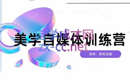 安娜·美学自媒体IP系统课-985网创