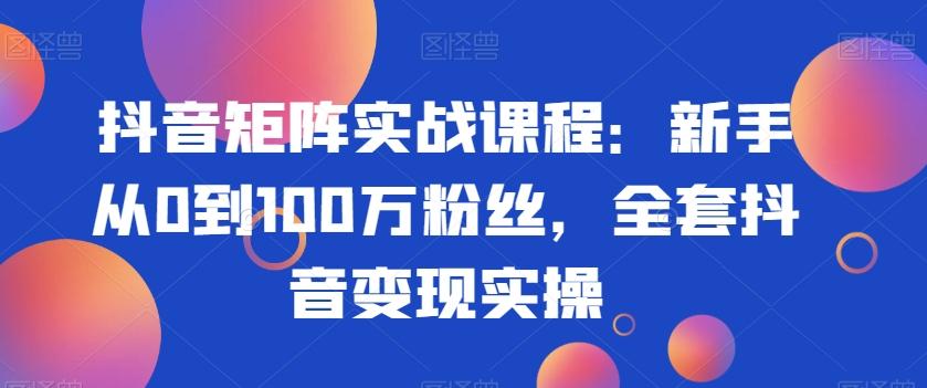 抖音矩阵实战课程：新手从0到100万粉丝，全套抖音变现实操-985网创