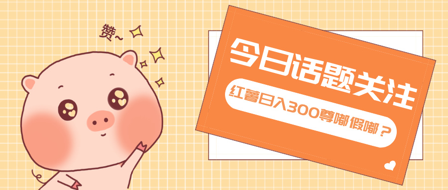 全新红薯浏览，打破常规 双端操作，每天运行6小时，让你获得工作以外的...-985网创