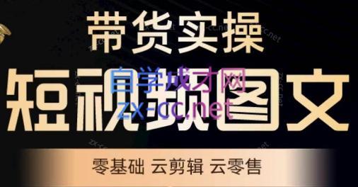 鑫哥·2024零基础短视频带货实操营-985网创